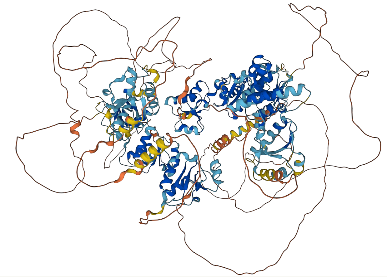Predicted structure of TopBP1 by AlphaFold